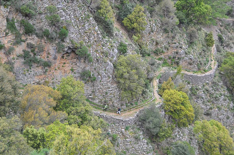 faraggi Messona